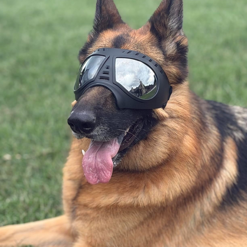 Pet Glasses for medium large-s - Sunglass Retainer Cord reseña y precio