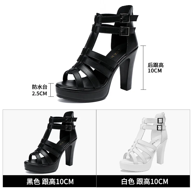 Gladiator Ladies Shoe for Wome - Casual Sandal Leather reseña y precio